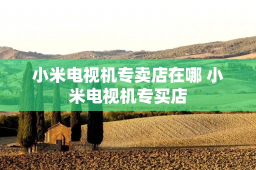小米电视机专卖店在哪 小米电视机专买店