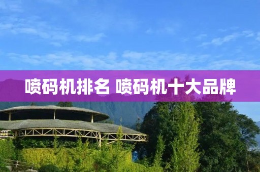 喷码机排名 喷码机十大品牌