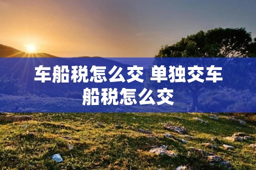车船税怎么交 单独交车船税怎么交