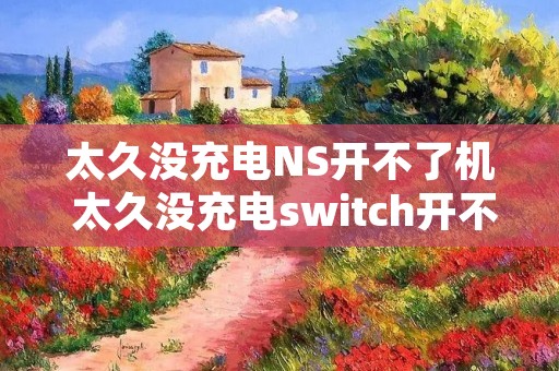 太久没充电NS开不了机 太久没充电switch开不了机 太久没充电NS开不了机 太久没充电switch开不了机