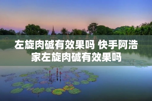 左旋肉碱有效果吗 快手阿浩家左旋肉碱有效果吗