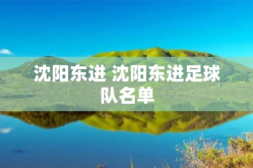 沈阳东进 沈阳东进足球队名单 沈阳东进 沈阳东进足球队名单