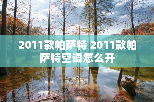 2011款帕萨特 2011款帕萨特空调怎么开 2011款帕萨特 2011款帕萨特空调怎么开