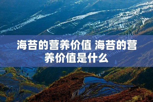 海苔的营养价值 海苔的营养价值是什么
