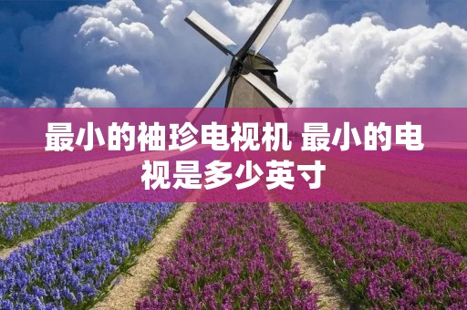 最小的袖珍电视机 最小的电视是多少英寸