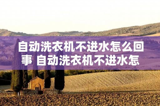 自动洗衣机不进水怎么回事 自动洗衣机不进水怎么回事儿