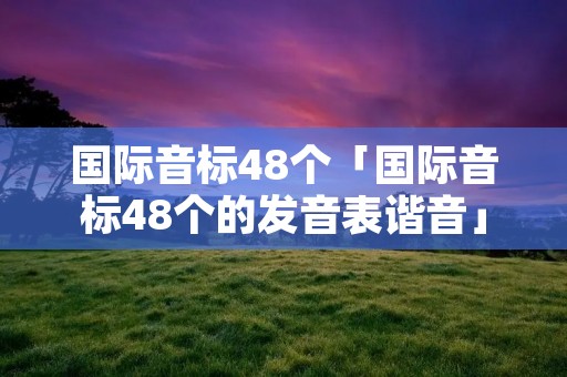 国际音标48个「国际音标48个的发音表谐音」