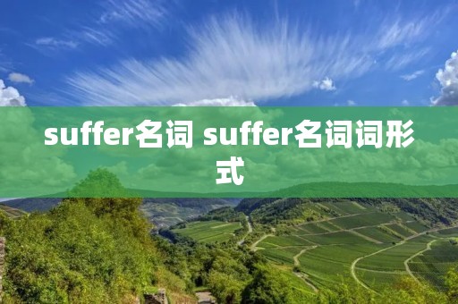 suffer名词 suffer名词词形式 suffer名词 suffer名词词形式