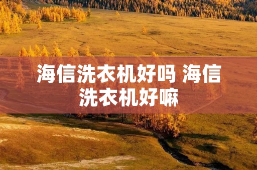 海信洗衣机好吗 海信洗衣机好嘛