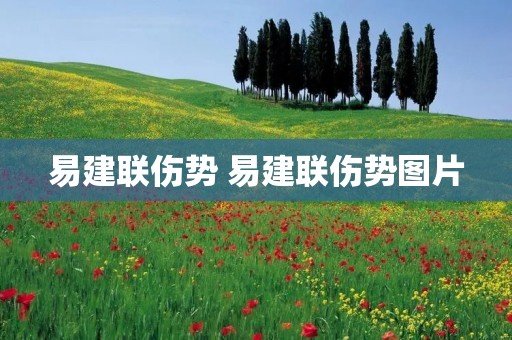 易建联伤势 易建联伤势图片
