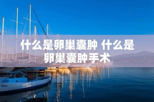 什么是卵巢囊肿 什么是卵巢囊肿手术 什么是卵巢囊肿 什么是卵巢囊肿手术
