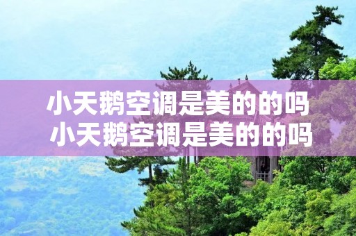 小天鹅空调是美的的吗 小天鹅空调是美的的吗还是格力
