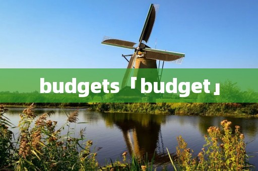 budgets「budget」 budgets「budget」