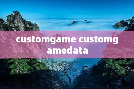customgame customgamedata