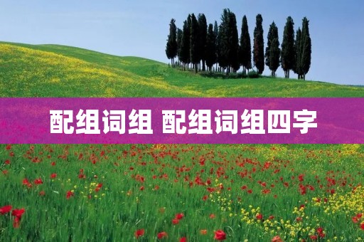 配组词组 配组词组四字