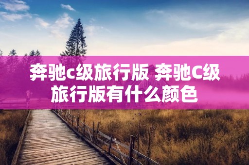 奔驰c级旅行版 奔驰C级旅行版有什么颜色
