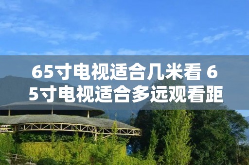 65寸电视适合几米看 65寸电视适合多远观看距离 65寸电视适合几米看 65寸电视适合多远观看距离