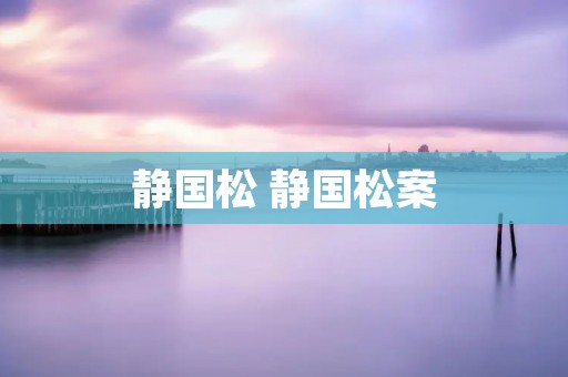 静国松 静国松案 静国松 静国松案