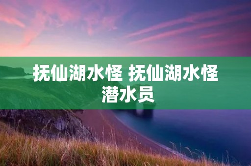 抚仙湖水怪 抚仙湖水怪 潜水员