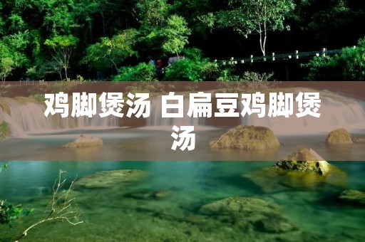 鸡脚煲汤 白扁豆鸡脚煲汤 鸡脚煲汤 白扁豆鸡脚煲汤