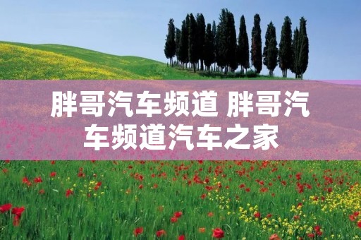 胖哥汽车频道 胖哥汽车频道汽车之家
