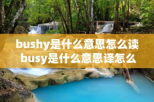 bushy是什么意思怎么读 busy是什么意思译怎么读