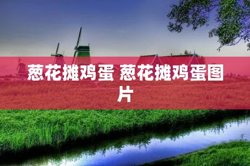 葱花摊鸡蛋 葱花摊鸡蛋图片 葱花摊鸡蛋 葱花摊鸡蛋图片