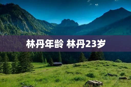 林丹年龄 林丹23岁