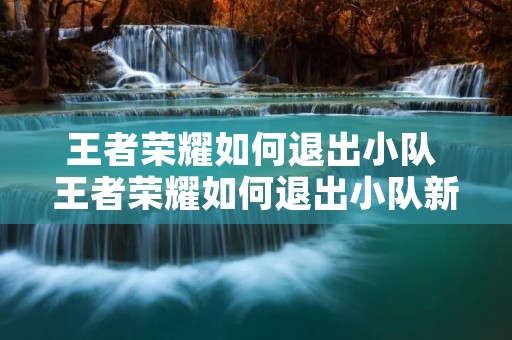王者荣耀如何退出小队 王者荣耀如何退出小队新版本 王者荣耀如何退出小队 王者荣耀如何退出小队新版本