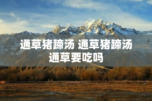 通草猪蹄汤 通草猪蹄汤通草要吃吗