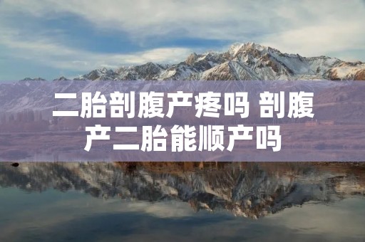 二胎剖腹产疼吗 剖腹产二胎能顺产吗 二胎剖腹产疼吗 剖腹产二胎能顺产吗