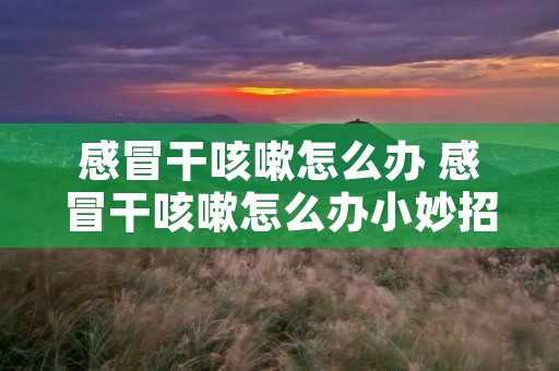 感冒干咳嗽怎么办 感冒干咳嗽怎么办小妙招 感冒干咳嗽怎么办 感冒干咳嗽怎么办小妙招