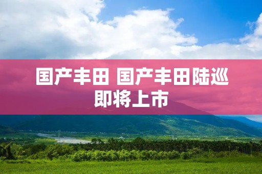 国产丰田 国产丰田陆巡即将上市