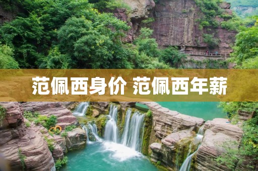 范佩西身价 范佩西年薪