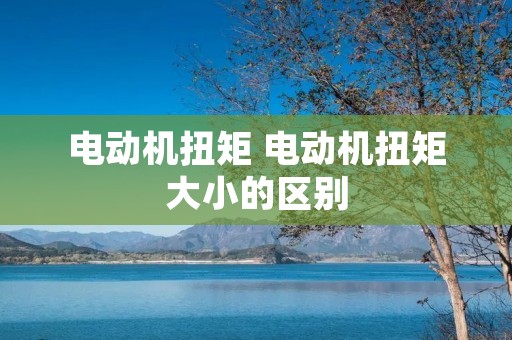 电动机扭矩 电动机扭矩大小的区别
