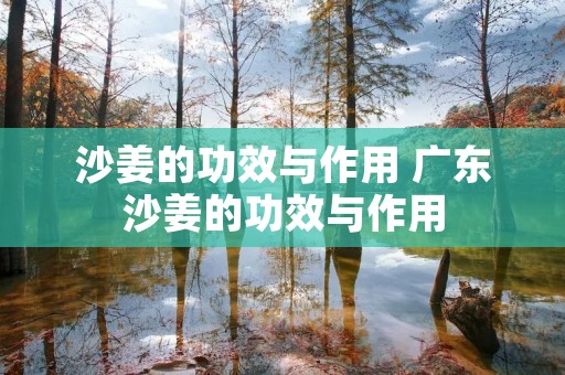 沙姜的功效与作用 广东沙姜的功效与作用