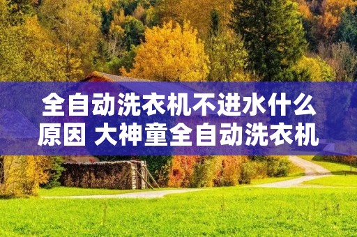 全自动洗衣机不进水什么原因 大神童全自动洗衣机不进水什么原因