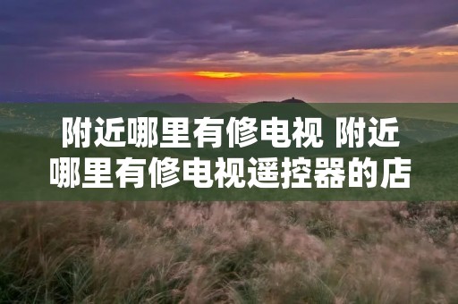 附近哪里有修电视 附近哪里有修电视遥控器的店