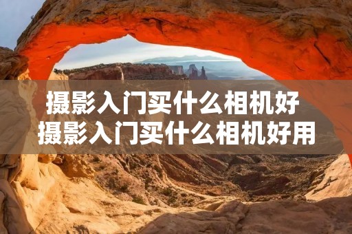 摄影入门买什么相机好 摄影入门买什么相机好用