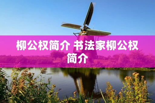柳公权简介 书法家柳公权简介