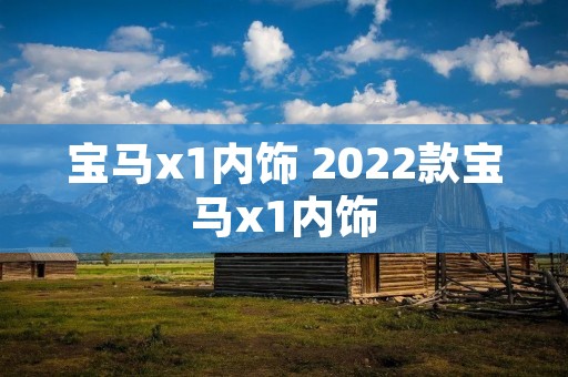 宝马x1内饰 2022款宝马x1内饰