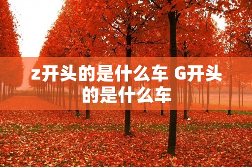 z开头的是什么车 G开头的是什么车