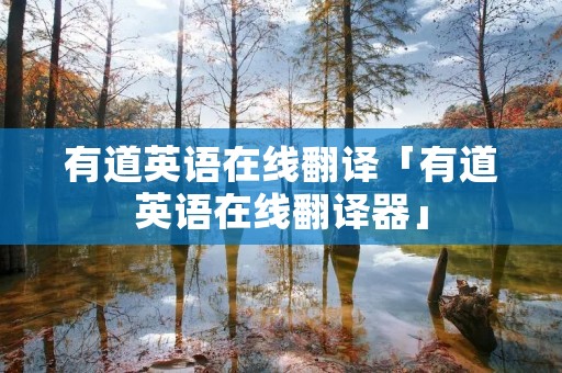 有道英语在线翻译「有道英语在线翻译器」