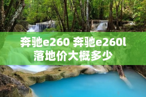 奔驰e260 奔驰e260l落地价大概多少