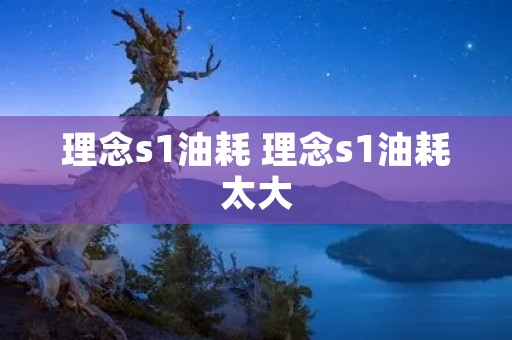 理念s1油耗 理念s1油耗太大 理念s1油耗 理念s1油耗太大