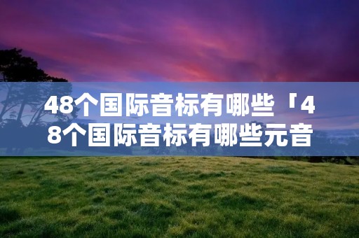 48个国际音标有哪些「48个国际音标有哪些元音哪些辅音」 48个国际音标有哪些「48个国际音标有哪些元音哪些辅音」