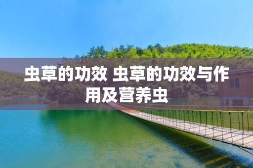 虫草的功效 虫草的功效与作用及营养虫 虫草的功效 虫草的功效与作用及营养虫