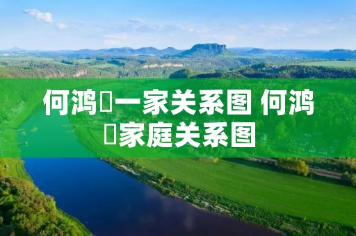 何鸿燊一家关系图 何鸿燊家庭关系图 何鸿燊一家关系图 何鸿燊家庭关系图