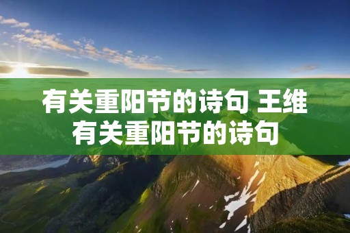 有关重阳节的诗句 王维有关重阳节的诗句