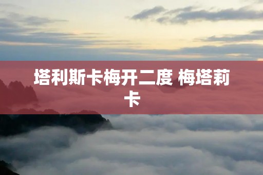 塔利斯卡梅开二度 梅塔莉卡